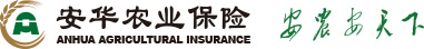 bifa���ط�(�й���)Ψһ�ٷ���վ